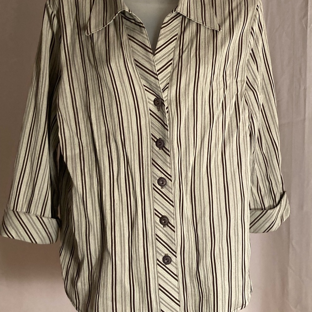 Dress Barn Cream and Brown Striped Button-Up Blouse